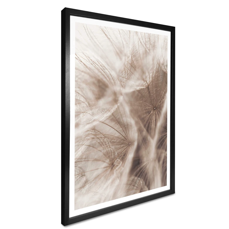 Poster Zarte Pusteblume 
