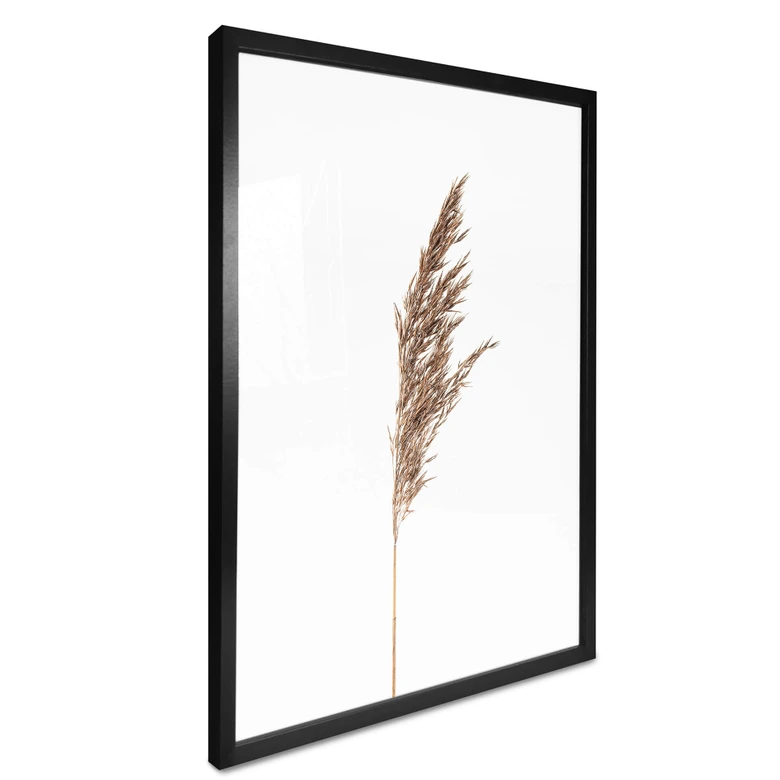 Poster Ziergras No. 1 
