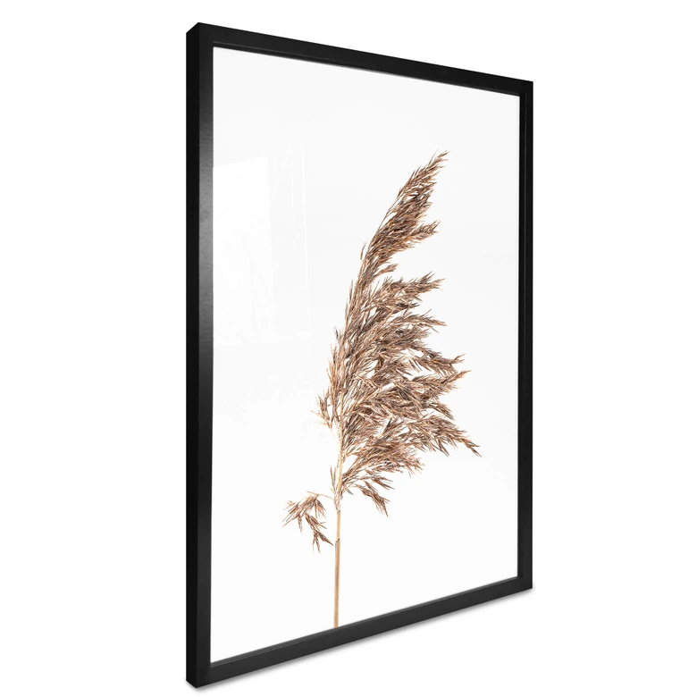 Poster Ziergras No. 2 