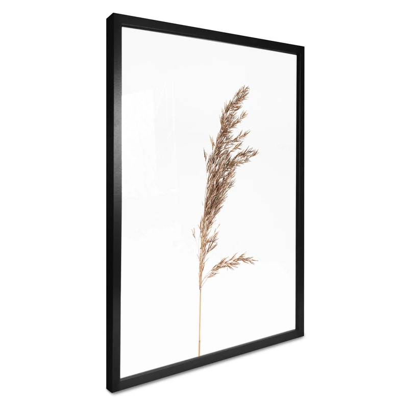 Poster Ziergras No. 3 