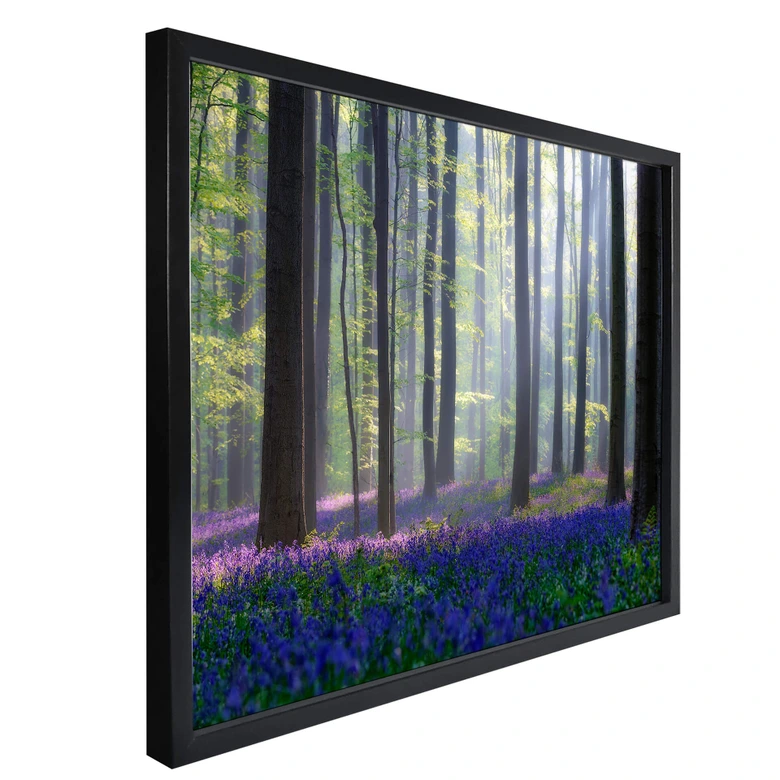 Poster Popan - Hyacinthen 