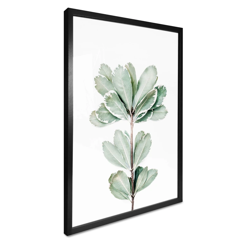 Poster Sisi & Seb - Botanik 