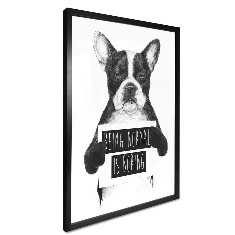 Poster Solti - Being normal is boring 