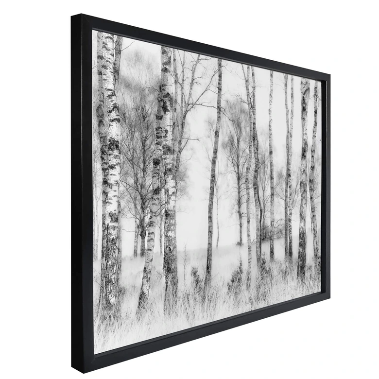 Poster Talen - Schwarz-weißer Birkenwald 