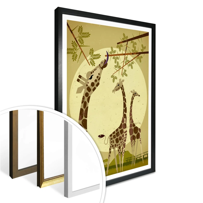 Poster Braun - Giraffes 