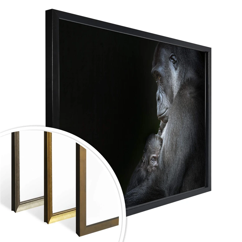 Poster Cuadrado - Tenderness 
