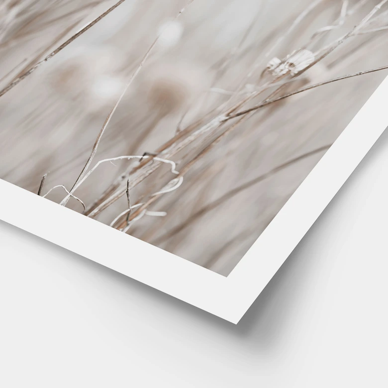 Poster Fleurs séchées dans des tons doux - Annie 