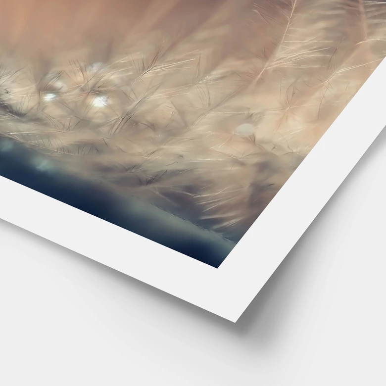 Poster Story of a Waterdrop - Dmitry 