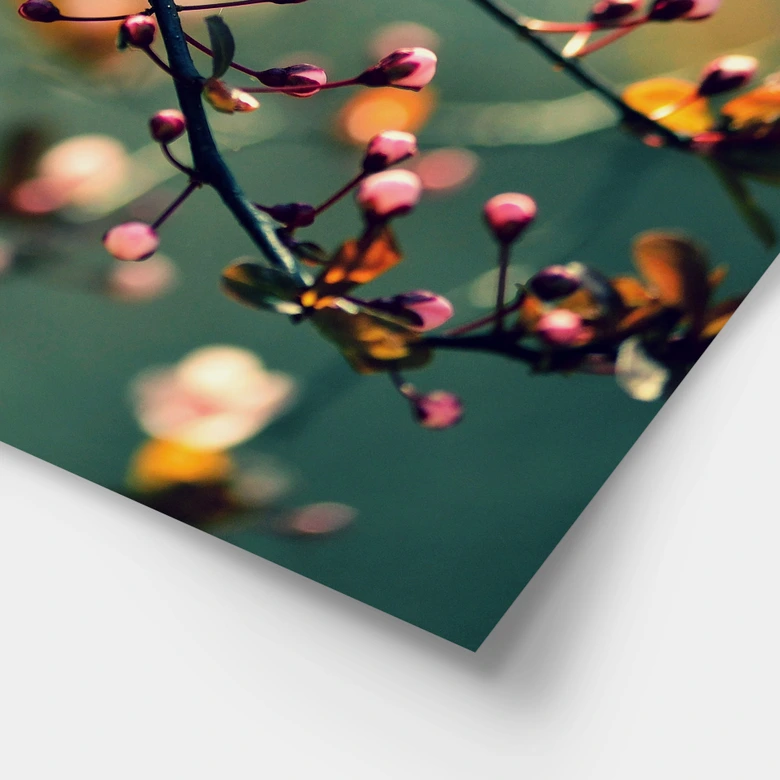 Poster Spring Awakening 