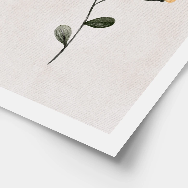 Poster Zarte Pflanze mit gelben Blüten - Goed Blauw 