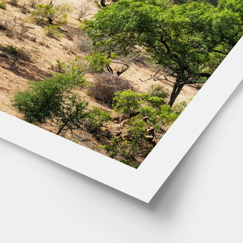 Plakat savannelandskab i Afrika - Hugonnard 