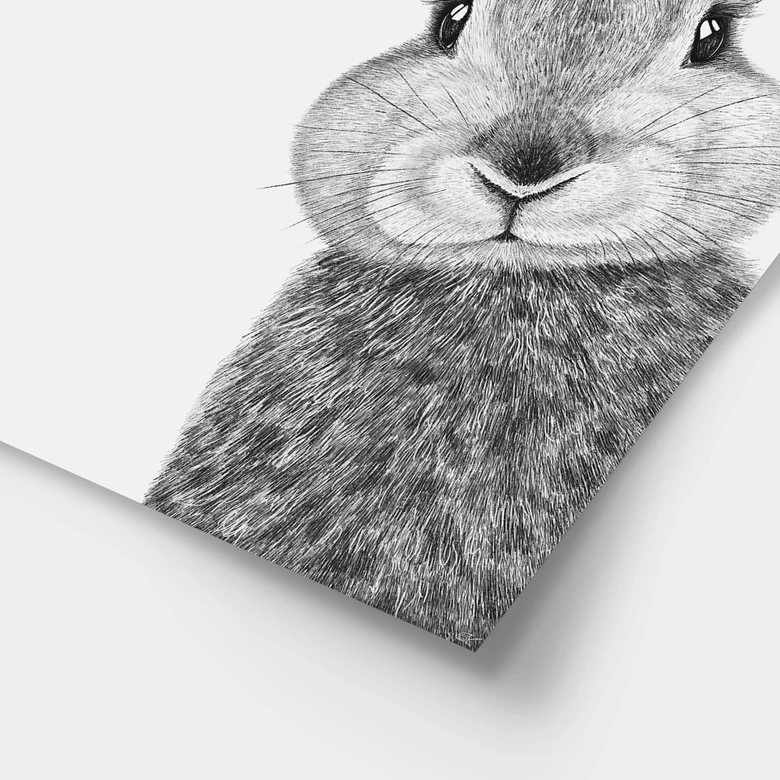 Póster Lindo conejito con flores de manzanilla - Korenkova 