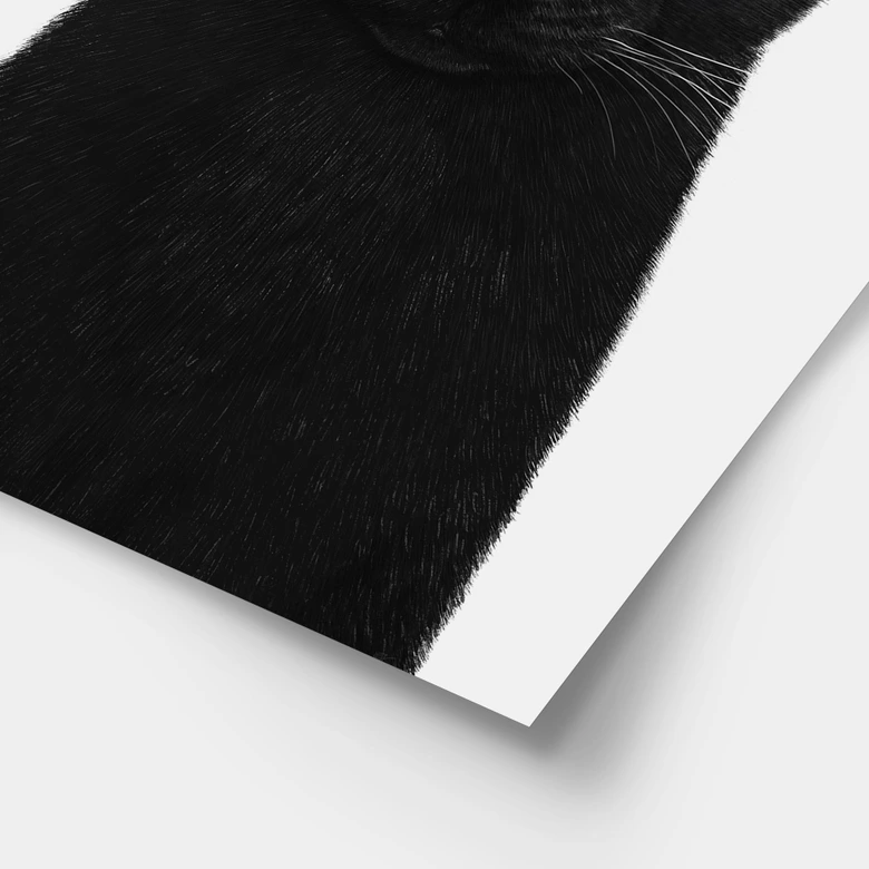 Poster Schwarze Katze mit Krone - Korenkova 