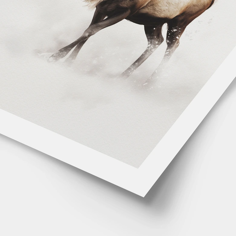 Poster Wintermotiv fürs Wohnzimmer - Hirsch im weißen Winter - Magnusson 