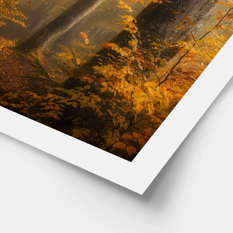 Poster Feuilles d'or dans la forêt brumeuse - Maier 