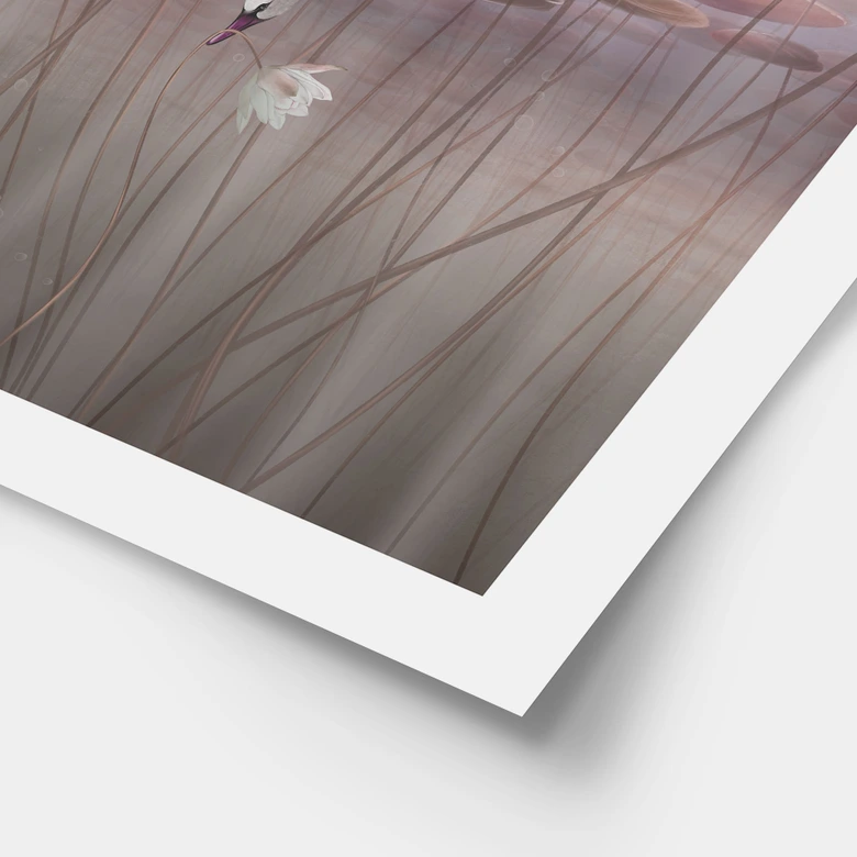 Poster Lotusblumen mit Schwan im Wasser in Altrosa - Ms Tiff 