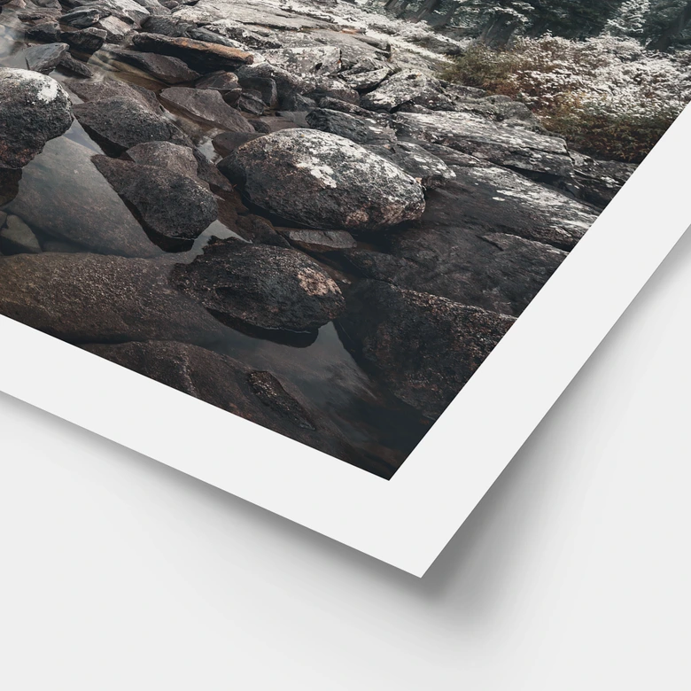 Poster Vinterskog vid sjön - Rostovskiy 