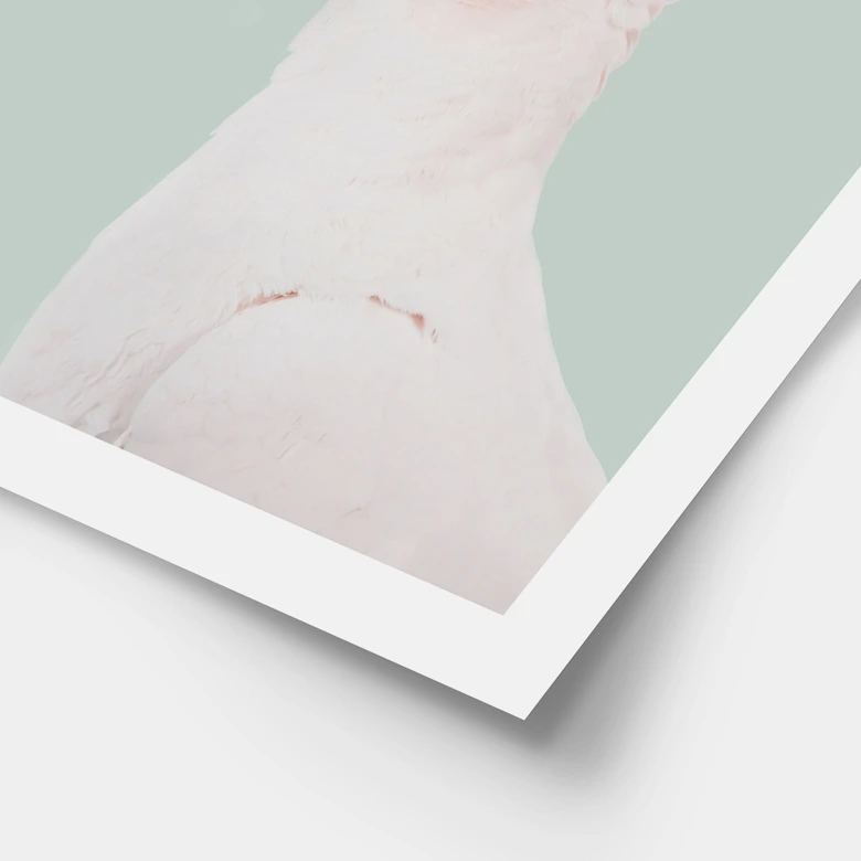 Póster retrato animal cacatúa rosa - Sisi & Seb 