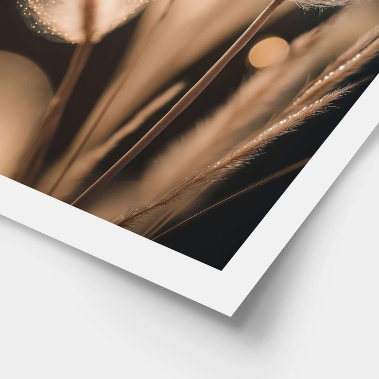 Poster Boho grasses in golden light - Treechild 