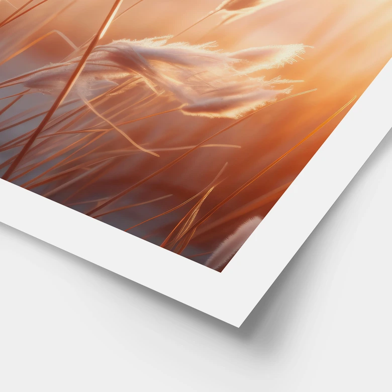 Poster Dünengras in der Abendsonne - Treechild 