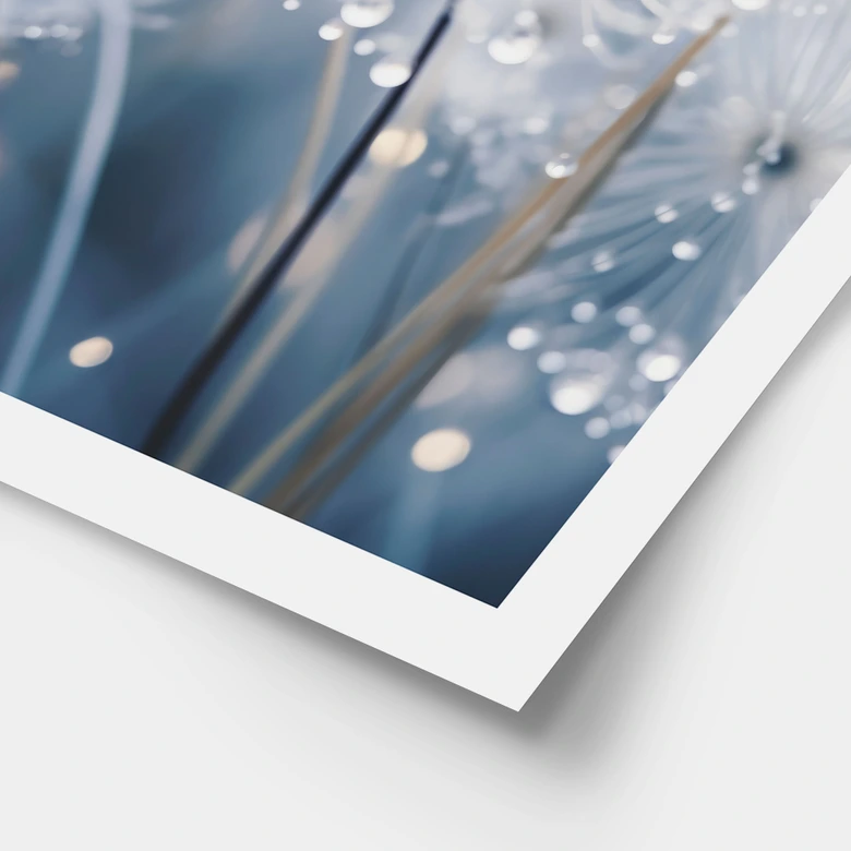 Poster med gnistrande maskrosor - Treechild 