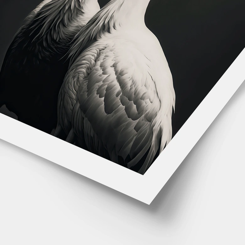 Poster Zwei Kronenkraniche in Schwarz-Weiß - Treechild 