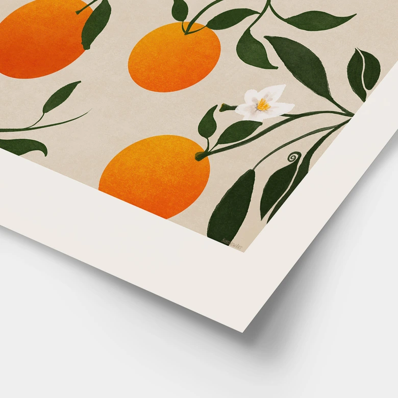 Poster Boho sinaasappelboom - Citrus Sinensis - Tunaboylu 