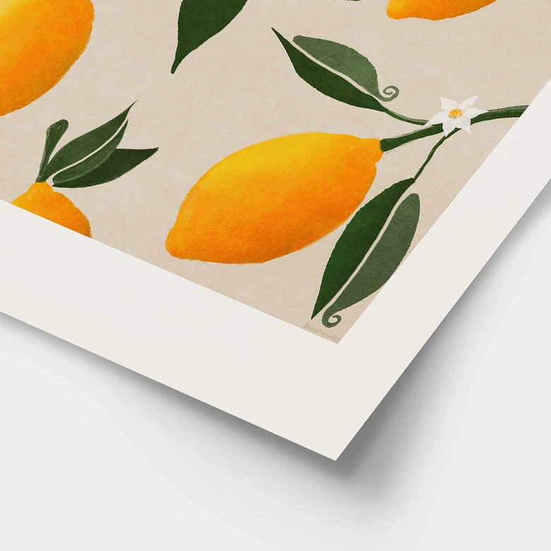 Plakat Frugt - Boho citrontræ - Citrus Limonum - Tunaboylu 