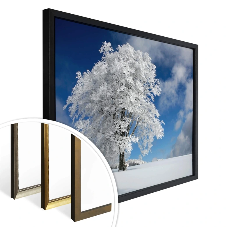 Poster Schumacher - White Winter Tree 