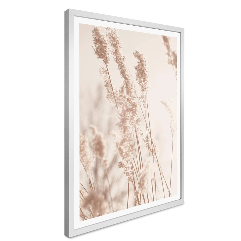 Poster Gräser im Sonnenlicht - Hochformat 