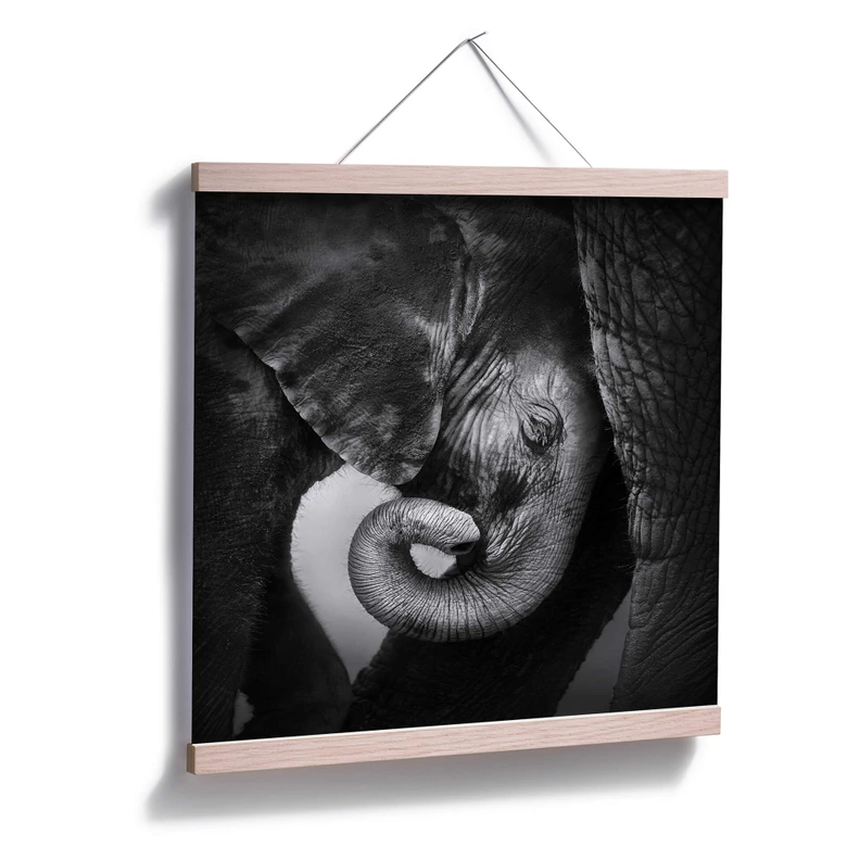 Poster Das Elefantenbaby 