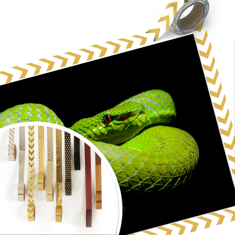 Poster Hakonsen - Die grüne Pit-Viper 