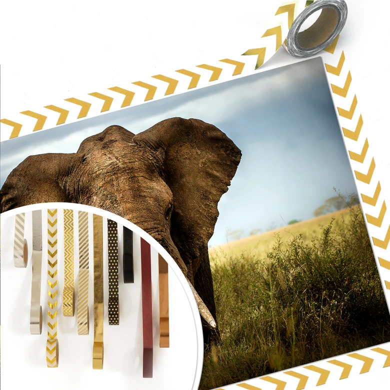 Poster Ghizzi-Panizza - Begegnungen in der Savanne 