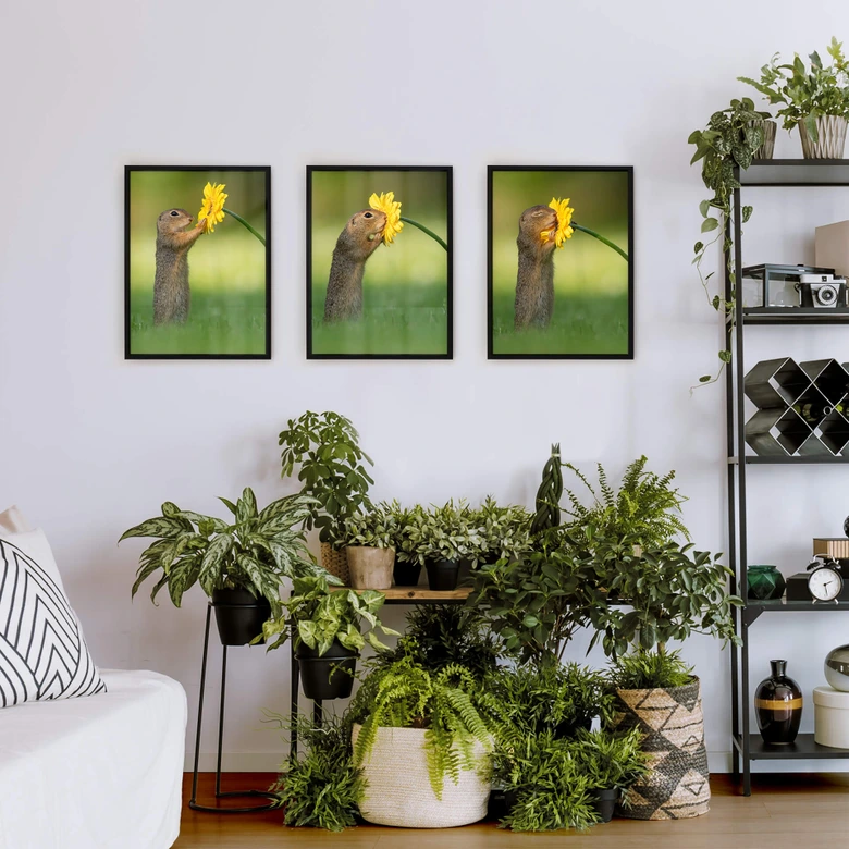 Poster van Duijn - Erdhörnchen riecht an Blume 