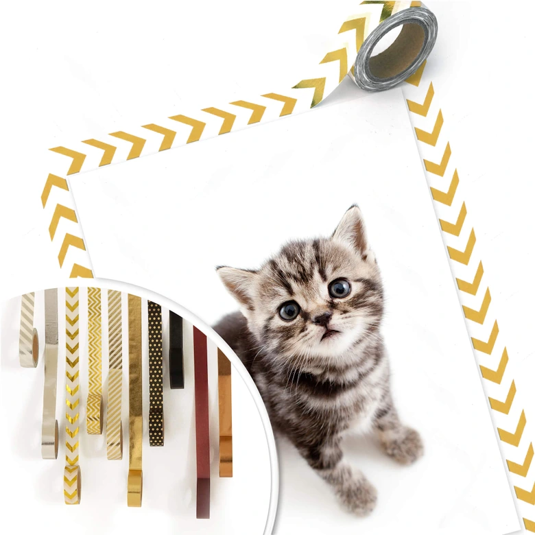 Poster Kitten 03 