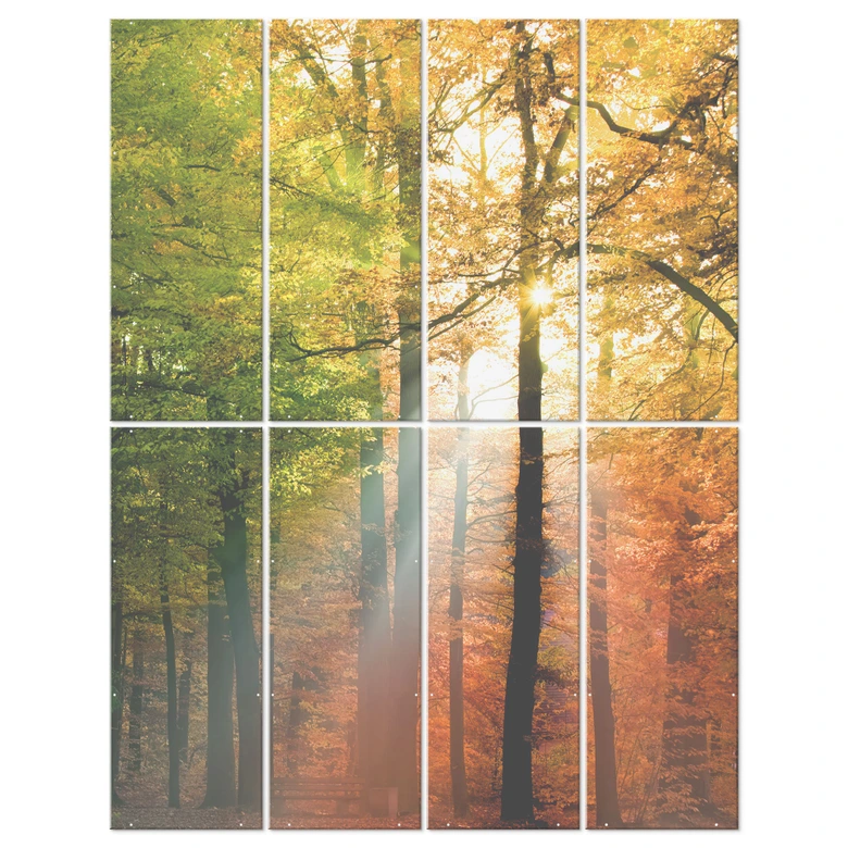 Raumteiler, Paravent, Sichtschutz hängend Goldener Herbst Wald 