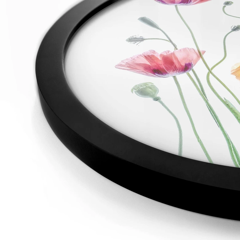 Poster Bunte Mohnblumen Rund - Disher 