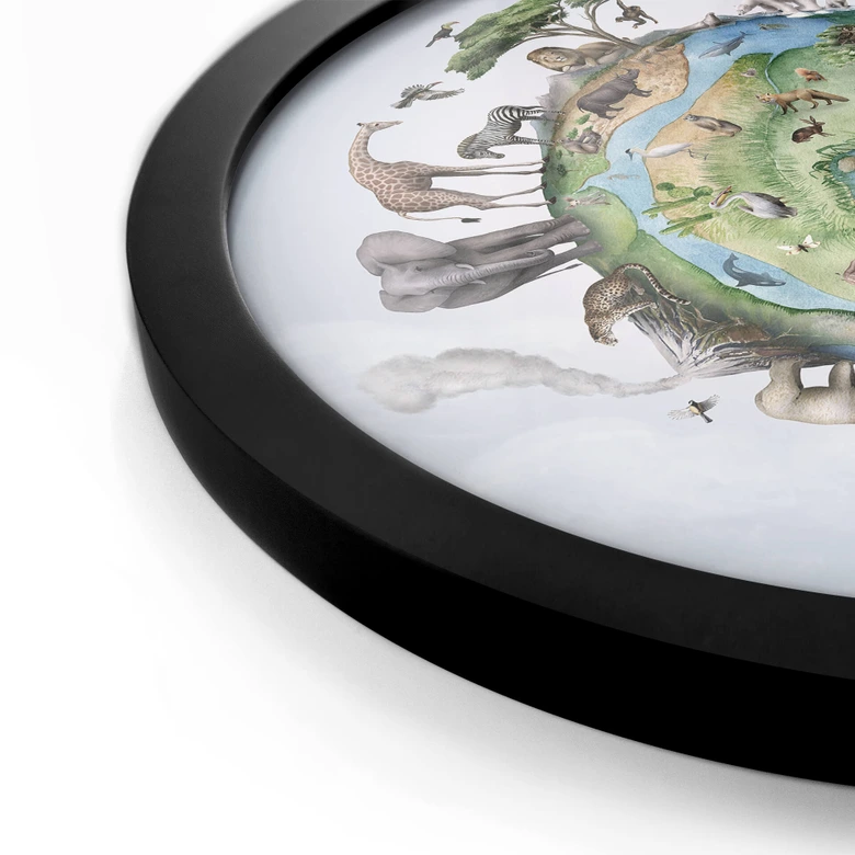 Poster rond Kikki Belle - Animals around the World 