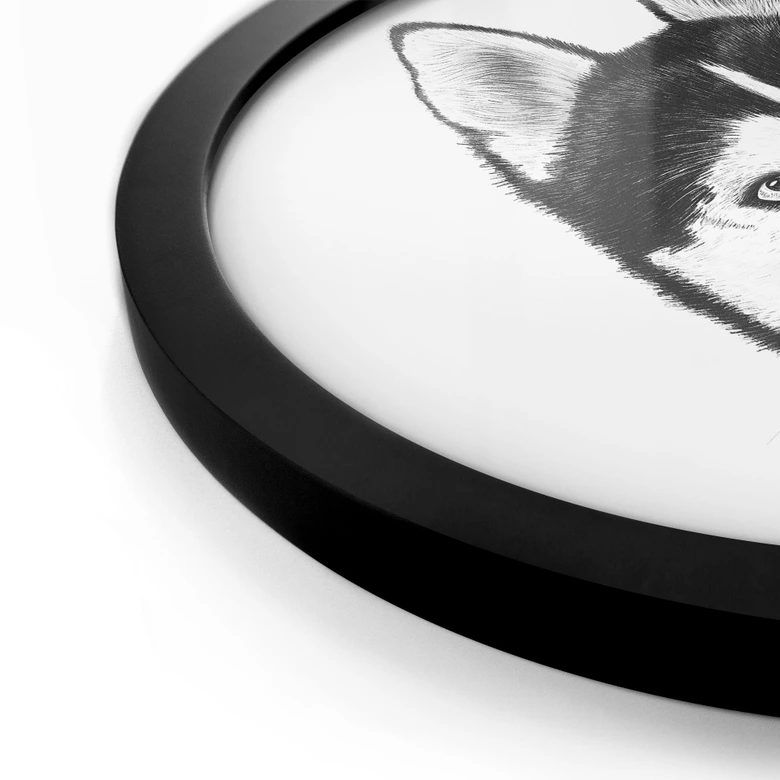 Póster Husky siberiano - Retrato de perro - Korenkova - Redondo 