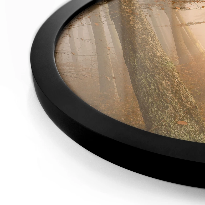 Poster Dunst und Licht im herbstlichen Wald - Maier - Rund 