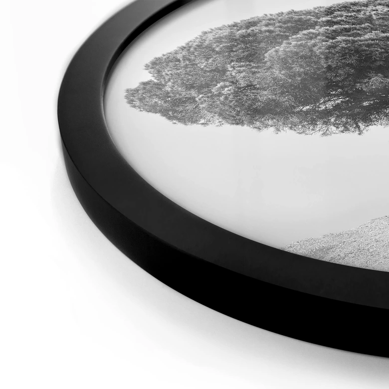 Plakat Martin - Drzewo w czerni i bieli - Okrągły 