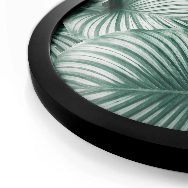 Poster Rond - Urban Jungle 
