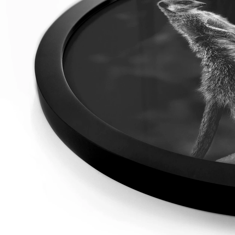 Poster van Son - Vigilance - Rond 