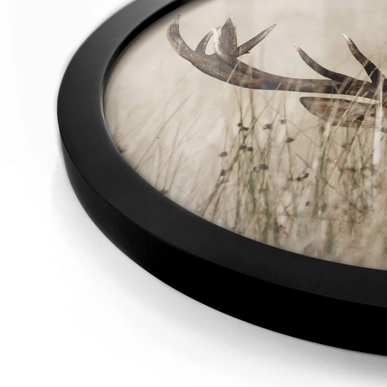 Poster Wachsamer Hirsch - Rund 