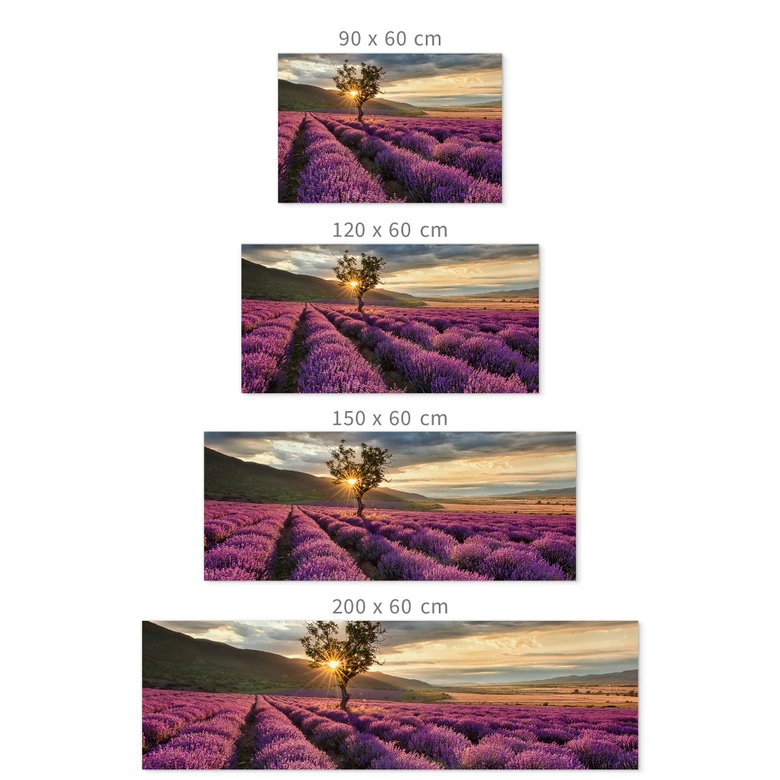 Zelfklevende Keukenachterwand Lavendel in de Provence 