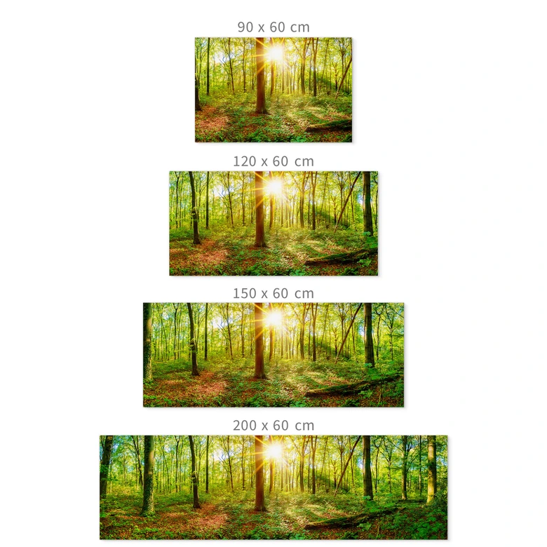 Självhäftande Stänkpanel Djupt inne i skogen 