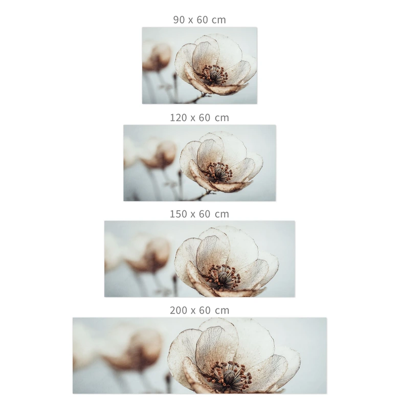 Selbstklebende Küchenrückwand Trockenblüte Beige Naturpoesie - Treechild 