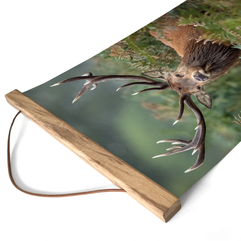 Póster de tela ciervo rojo - Guardián del bosque - van Duijn 