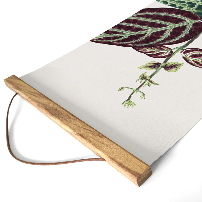 Stoffbild Blatt Illustration - Bignonia Argyro Violascea - Panorama 