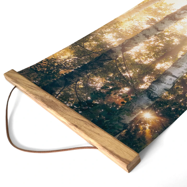Textielposter Zonneschijn in een berkenbos - Kado - Panorama 
